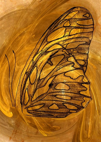 gmorrison_golden_gulf_fritillary.jpg - Golden Gulf Fritillary Wings