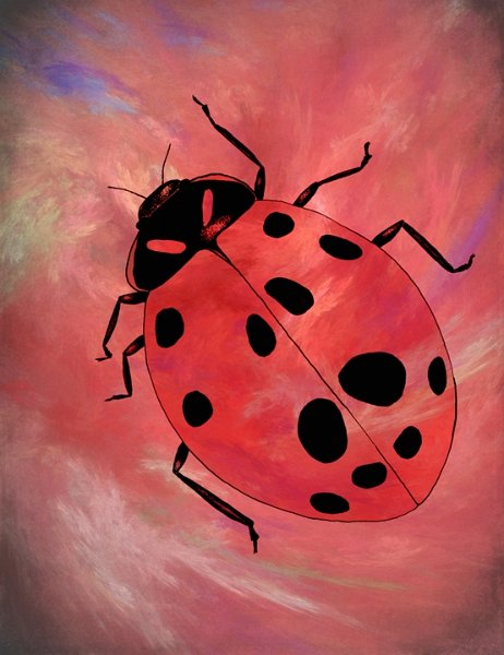 gmorrison_ladybug.jpg - Lady Bug