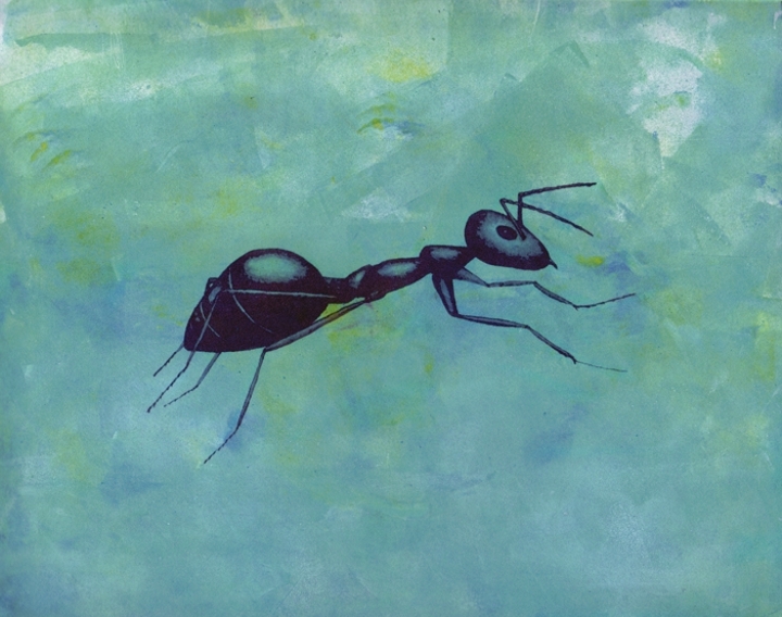 gmorrison_blue_ant.jpg - Blue Ant