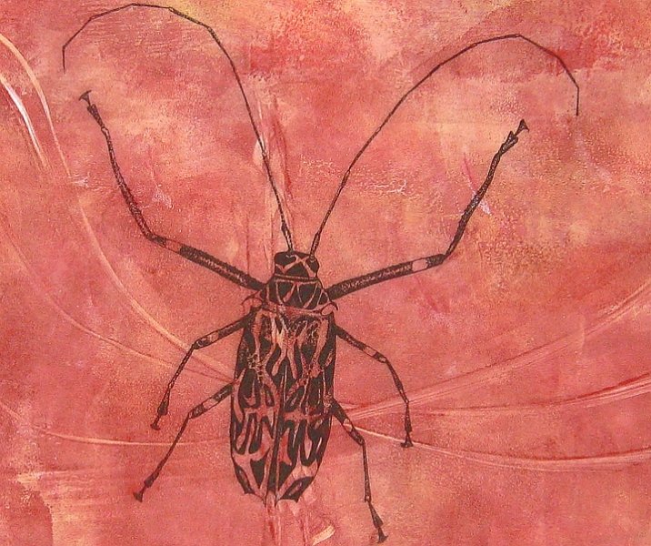 gmorrison_long_horned_beetle_1.jpg - Longhorned Beetle